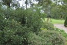 Wattle Ridge NSWresidential-landscaping-35.jpg; ?>