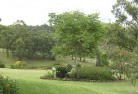 Wattle Ridge NSWresidential-landscaping-40.jpg; ?>